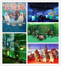 租賃大型馬戲表演 以負(fù)責(zé)任的態(tài)度體驗(yàn)動(dòng)物演藝