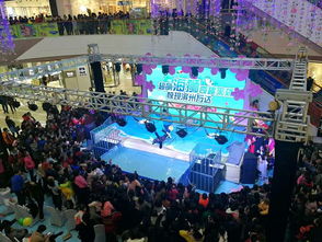 吉林遼源市羊駝海獅馬戲團(tuán)租賃與表演合作指南